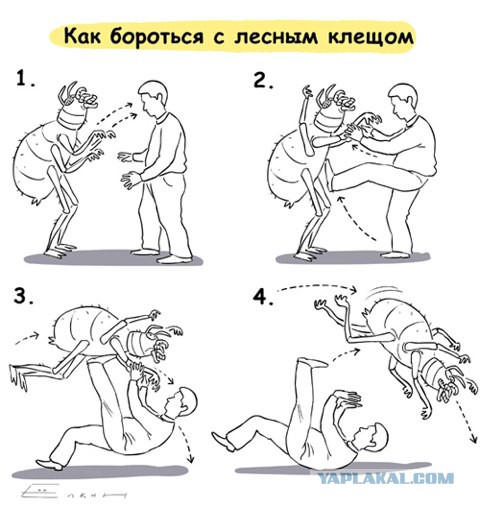 Крым и клещи