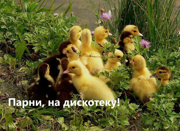 С ПЯТНИЦЕЙ!