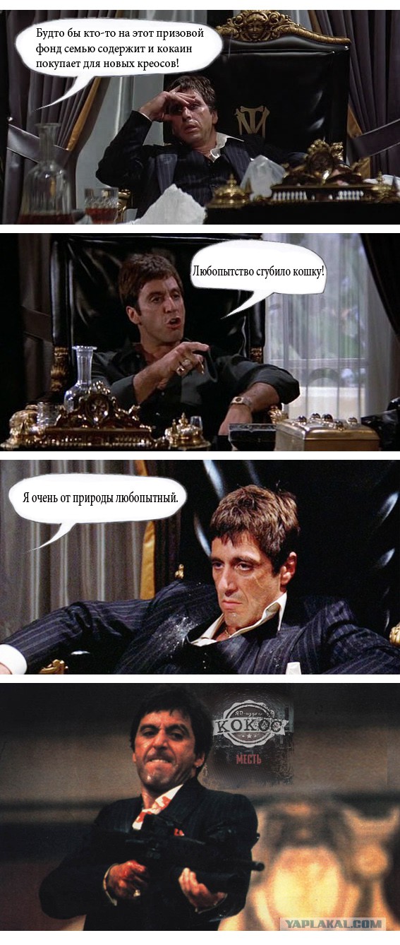 КОКОС 2.1