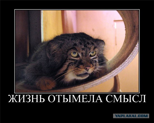 Тлен, тоска и безысходность