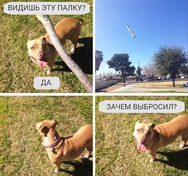 Просто фото. Просто подборка