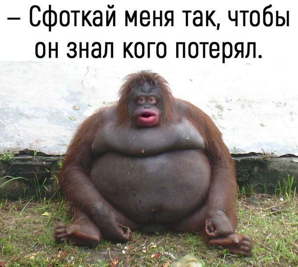 Нестандартный юмор