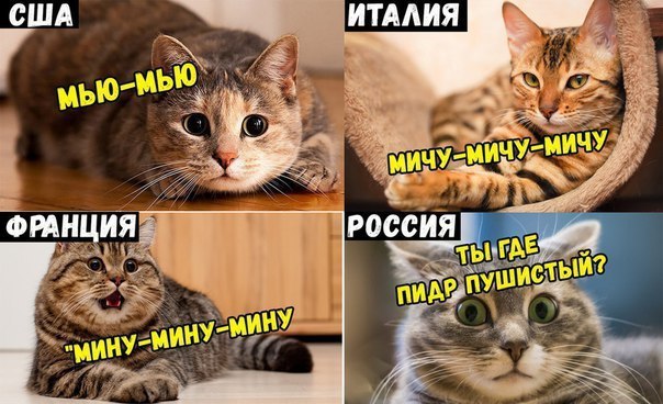 Нестандартный юмор