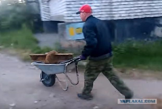Как я посреди дороги наковальню поимел.