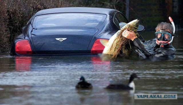 Грустная  история одного Bentley