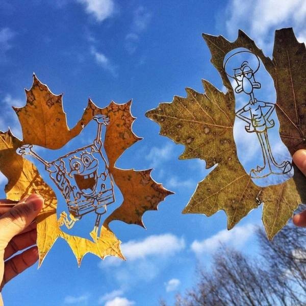 Лента прикольных картинок