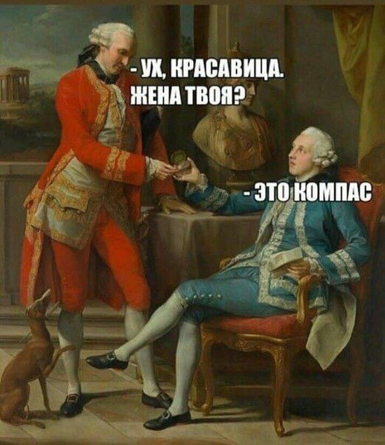 Куда катится жизнь