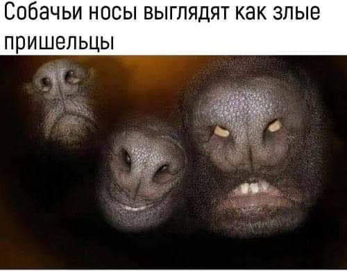 Анекдоты, истории и картинки с надписями