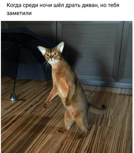 Бредзона 10.11.19