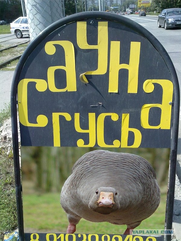 Сауна "Срусь"