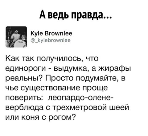Подборка картинок