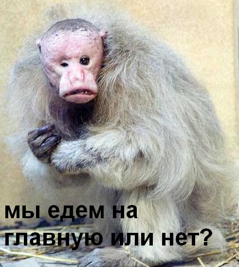 Фотожаба: Скоро лето 2008 !