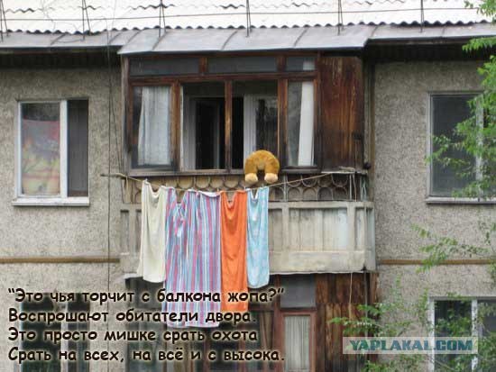 Конкурс: подпись к картинке