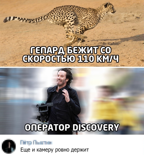 Юмор в картинках 7.11.20