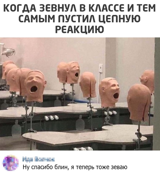 Картинки всякие 21.11.20