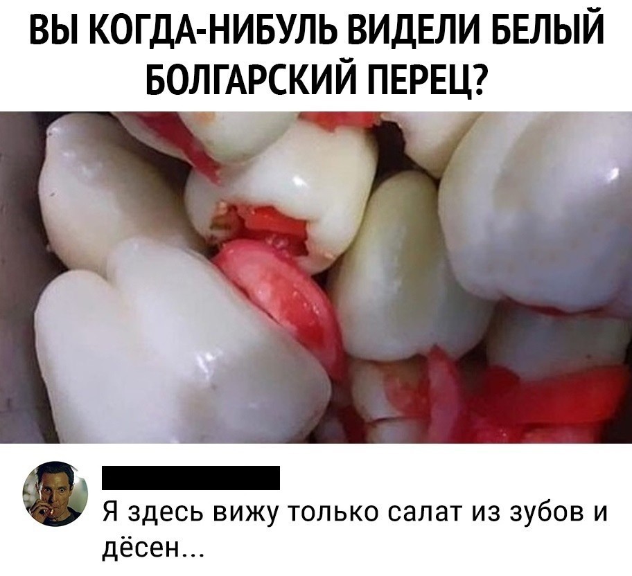 15102561.jpg