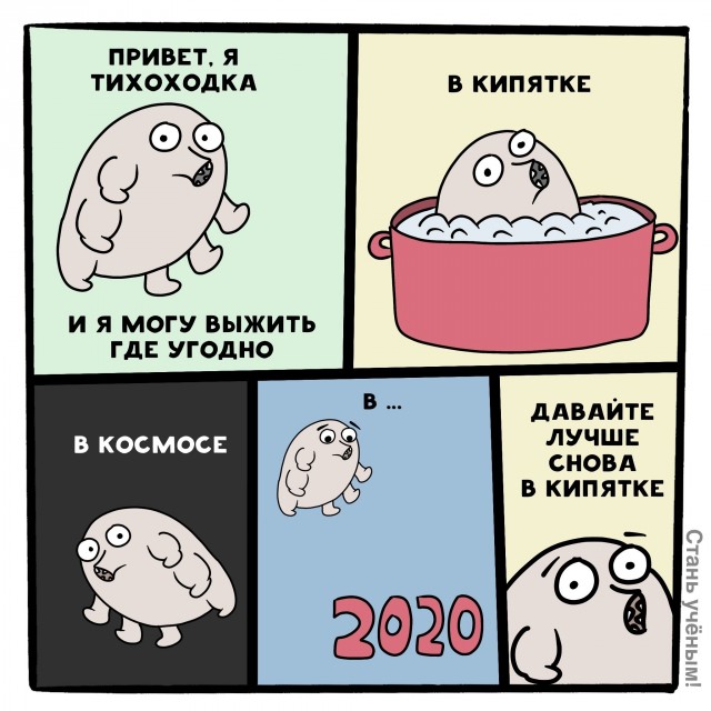 Насохранял