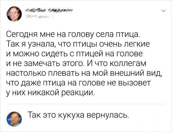 Забавные шутки, картинки и фразы из этих ваших интернетов 10.08.2021