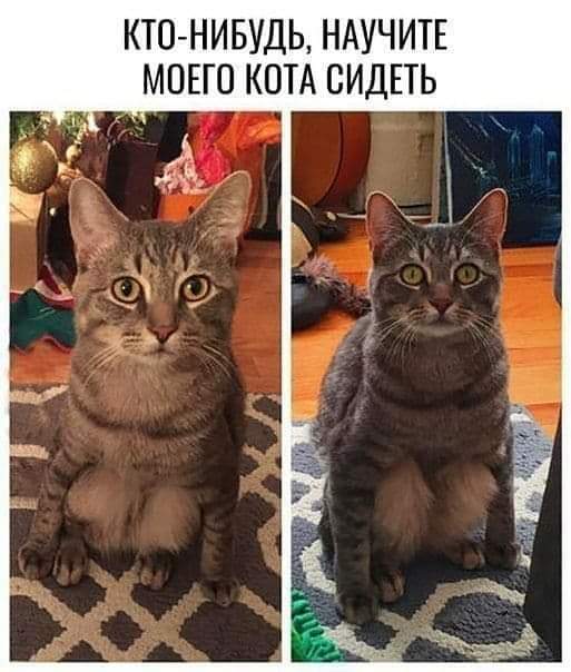 Всяческие картинки