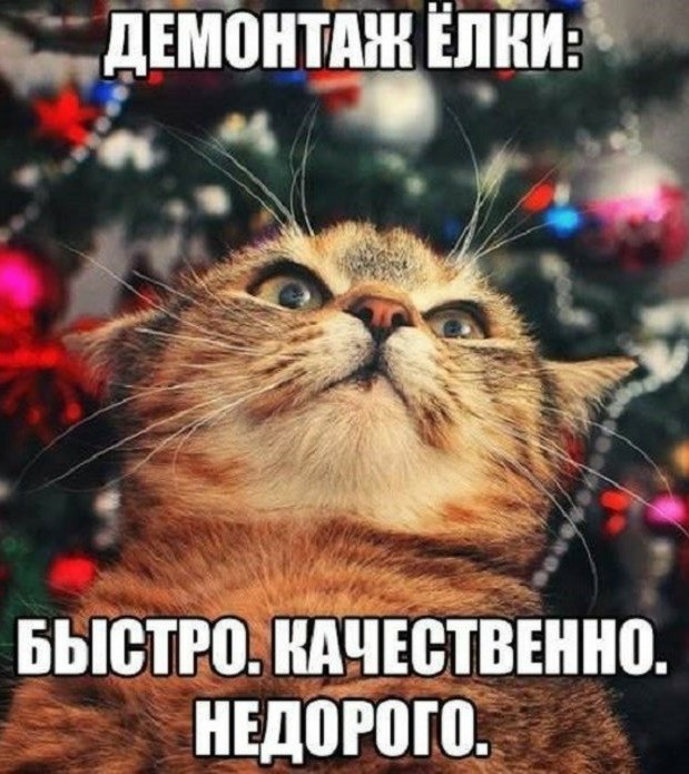 В Мариуполе ветер повалил центральную новогоднюю ёлку