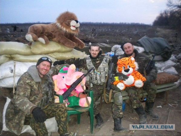 Звери