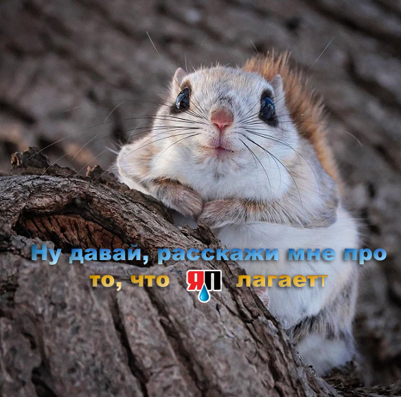 35 картинок разных 28.03.2022