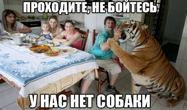 Немного картинок."Колбасный ветер". Август