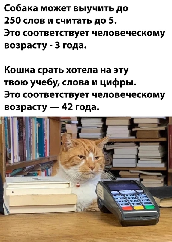 Немного картинок для настроения - 131