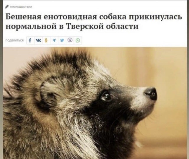 Секса больше у нас не будет
