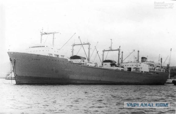 Американец нашел бутылку с русским посланием: вы преисполнитесь гордости, прочитав его