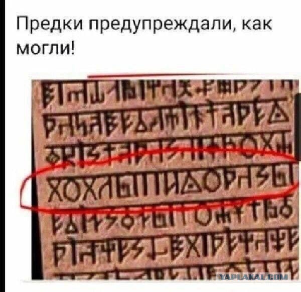 Мерзкие лицемеры