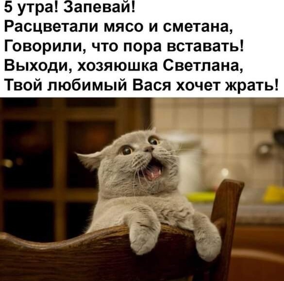 Немного картинок для настроения - 151