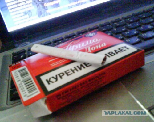 А вы бы отдали последнюю сигарету?