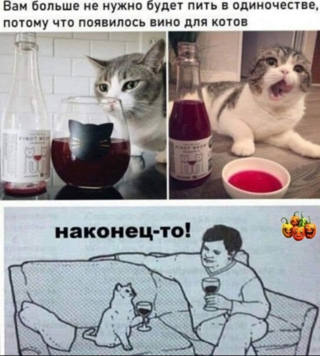 Так себе картинки 04.12.23