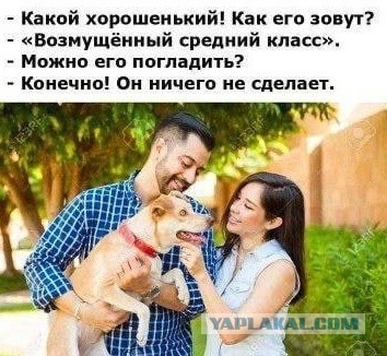 Екатерина Дунцова попросила выдвинуться от Яблока, но...