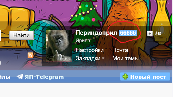 Подарками хвалиться уже можно?