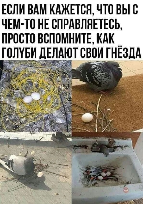 Так себе картинки 09.02.24