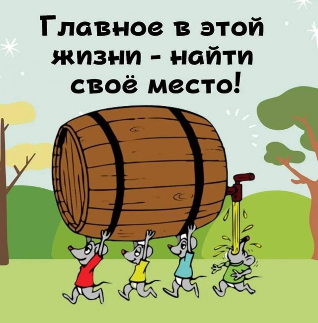 Так себе картинки 05.06.24