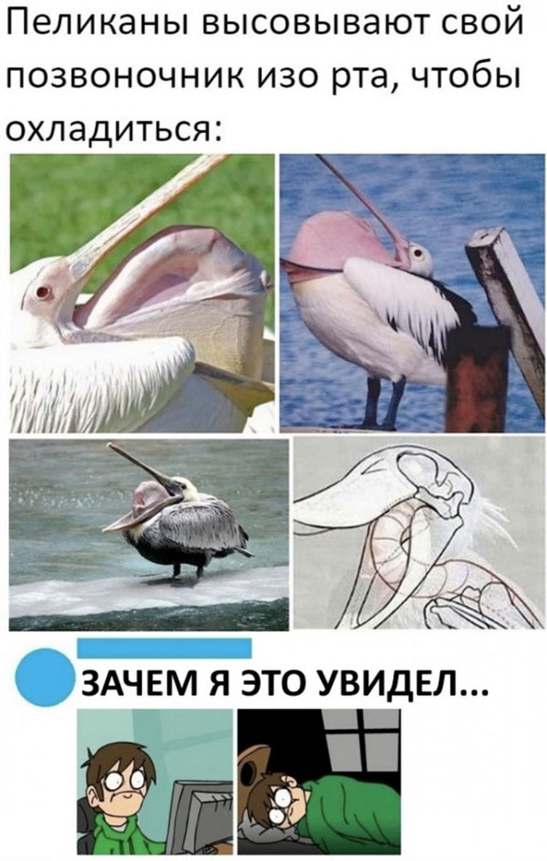 Среда, как рифма к пятнице