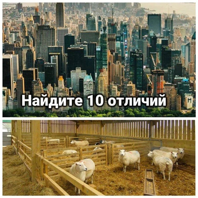 Всего понемногу. От 16 сентября