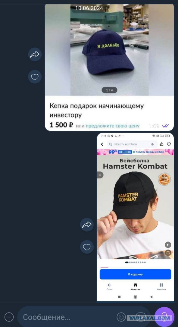 Сколько заработали те кто тапали хомяка Hamster Combat