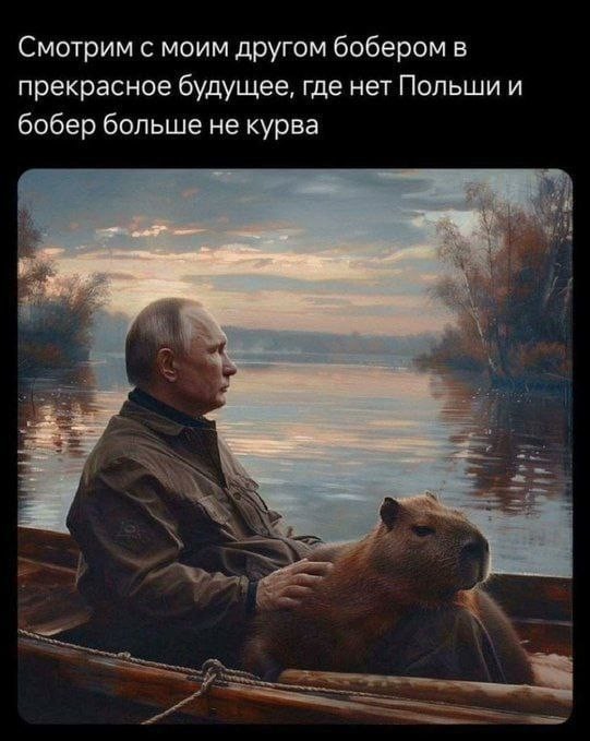 Бесплатные картинки
