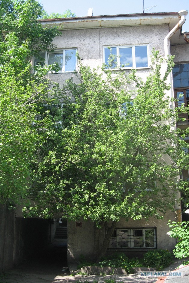 Вернулся из Финляндии, испытал мерзкое чувство