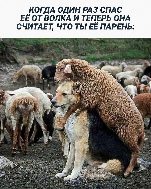 Так себе картинки 27.11.24