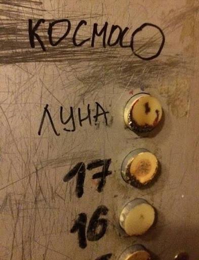 Так себе картинки 11.02.25