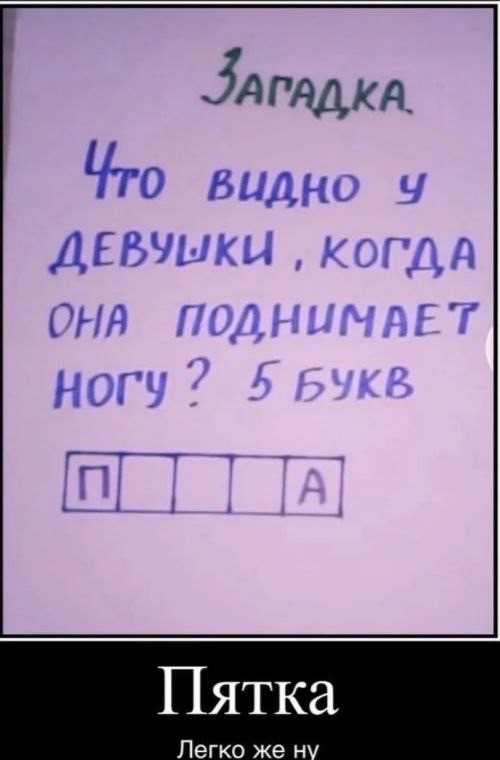 Немного забавных картинок от 13.02.2025