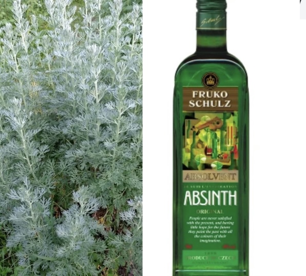 Запределье. Лента