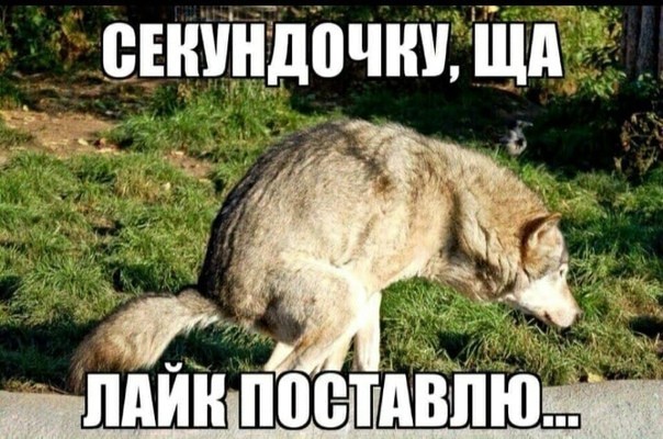 Трамп заявил, что Крым останется в составе России, а конфликт на Украине начался из-за намерения страны вступить в НАТО