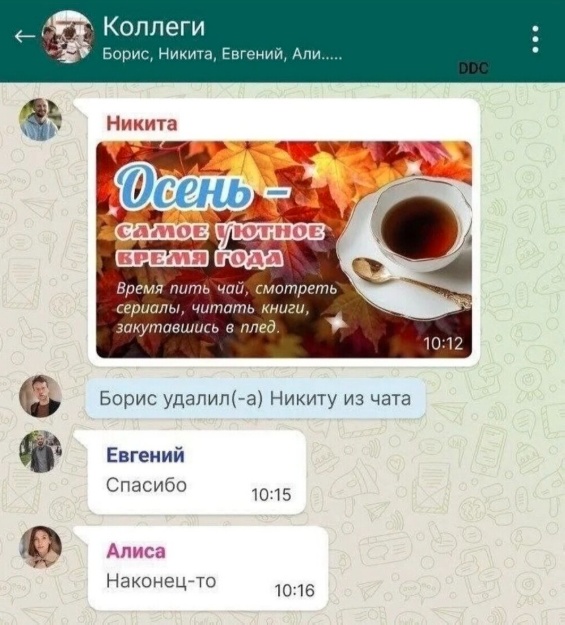 Картинки для деградации 48 (разной степени свежести)