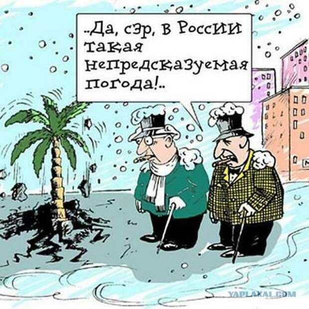 Аномальная зима на пороге: что ждет россиян, объясняют синоптики